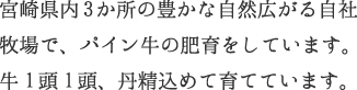 宮崎県内3か所の豊かな自然広がる自社牧場で、パイン牛の肥育をしています。牛1頭1頭、丹精込めて育てています。