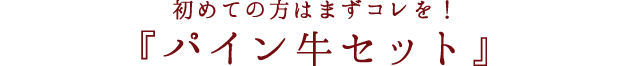 初めての方はまずコレを！『パイン牛セット』